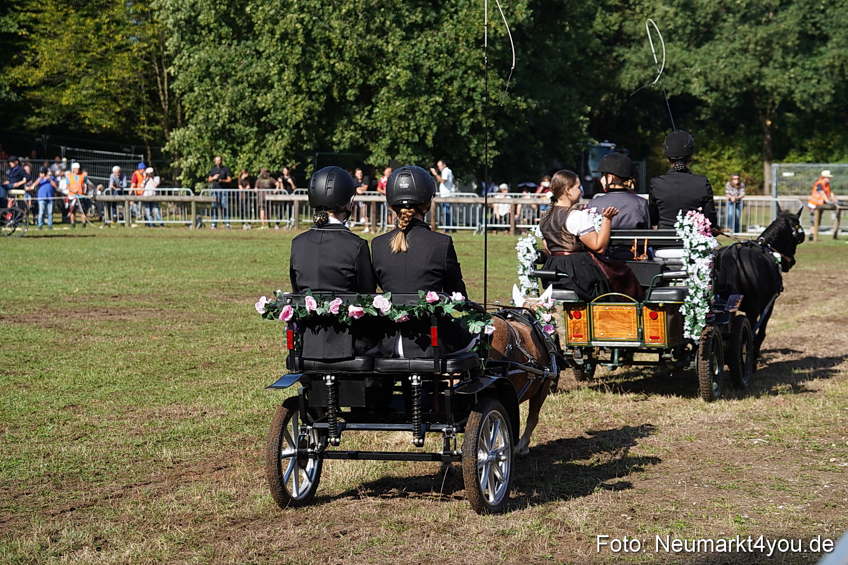Pferde und Fohlenschau 2022 0091 